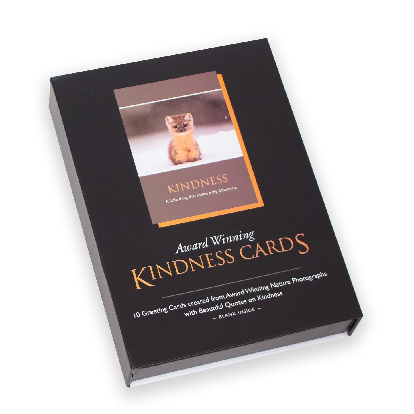 Kindness Cards 2024 Collection Case Pack - 12 Boxes - Free Shipping